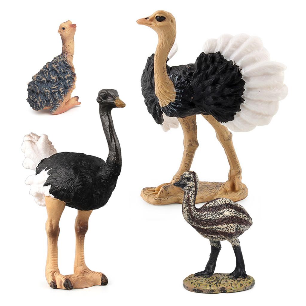 Childrens Bird Animal Model Pvc Realistic Australian Ostrich Baby Figurine For Educational Play And Farm Decor