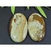 113Cts. 2Pcs Natural Picture Jasper Oval Cabochon Gemstone 24X44-25X45MM A-89