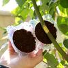 12pcs Plant High-Pressure Propagation Box Black Garden Tree Grafting Rooting Device High-Altitude Pressure Branches and Roots Propagation Ball