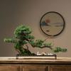 Simulation Green Plants Welcoming Pine Bonsai Planting Corners and Ornaments Living Room Decorations Zen Micro Landscape