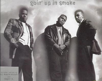 12-Zoll Schallplatte TEN CITY - Goin' Up In Smoke 6603166 Columbia 1994 Europa Dance & Electronica Gebraucht