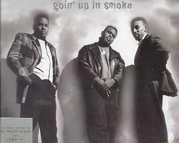 

12inch Record TEN CITY - Goin Up In Smoke 6603166 Columbia 1994 Europe Dance & Electronica Used