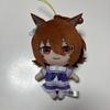 Peluche Uma Musume Agnes Tachyon