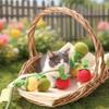 Fruit-Shaped Catnip Toy String Interactive Cat Toy Cat Teaser String with Bell Soft Tomatoes Cat Chew Toy for Indoor Cats Play And Exercise