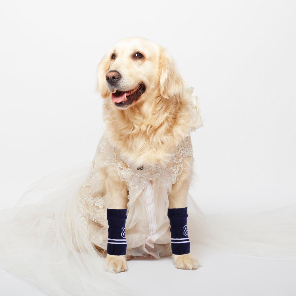 4 st Hundbenskydd Armbågsskydd Stickade Varma Has-skydd Andningsbara Ledskyddssockor För Hundar Skyddande Benlindor