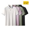 Men's Plus Size Summer Short Sleeve Polo Shirt
