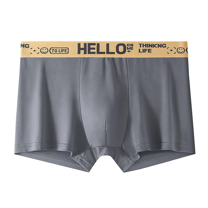 New Hot Item: Men's Youth Mid-Waist Boxer Briefs - Large Size