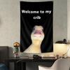 Welcome To My Crib Duck Flag Funny Hangable Duck Flag with Brass Grommets Bedroom Decorations Home Decor Funny Posters Indoor