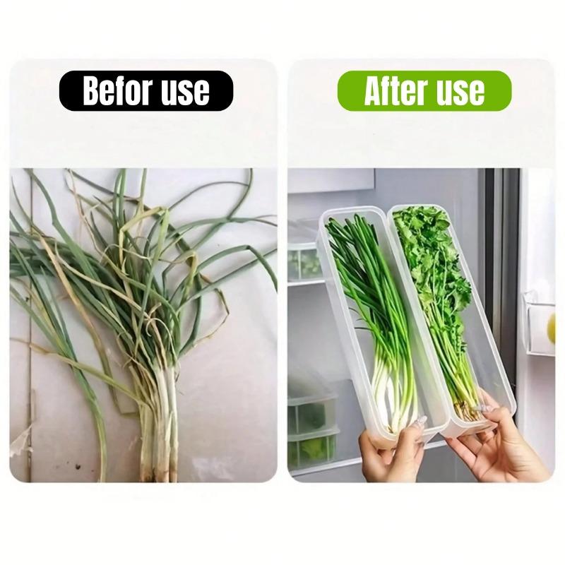 1/2Pcs Refrigerator Storage Boxes with Lid Plastic Fresh Keeping Box Kitchen Scallions Cilantro Eggs Noodles Sealed Container