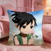 dDororo cute Cushion Cover Premium Comfort Reversible Pillow Cove Two in One Design for Any Room  Car Interior