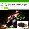 Bio - Lilek - Black Beauty - 25 semen - Se substrátem pro lepší pěstování - Solanum melongena