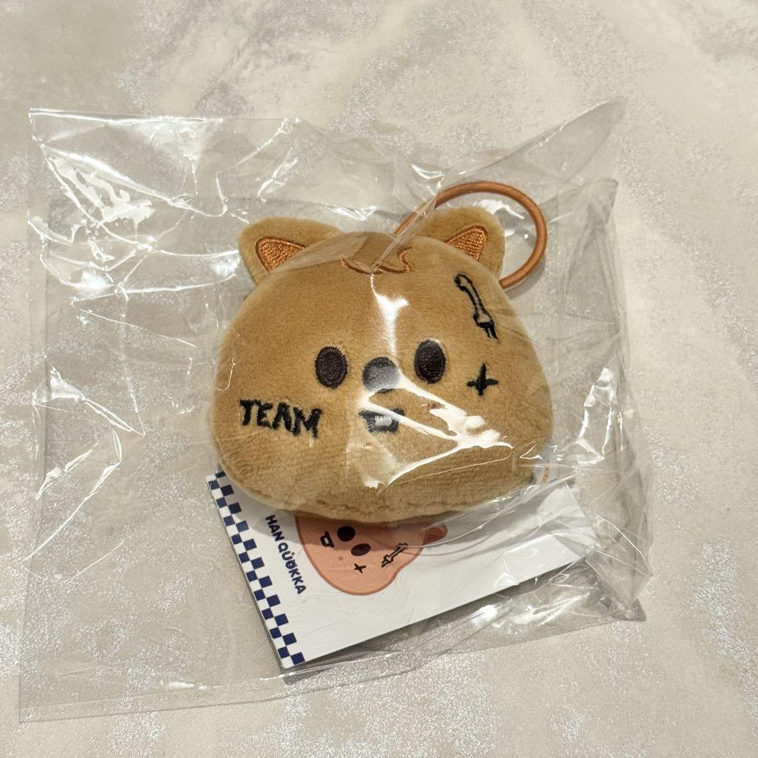 

[Б/У] straykids KARMA Поп-ап Бейдж с именем Ханк Окка Хан