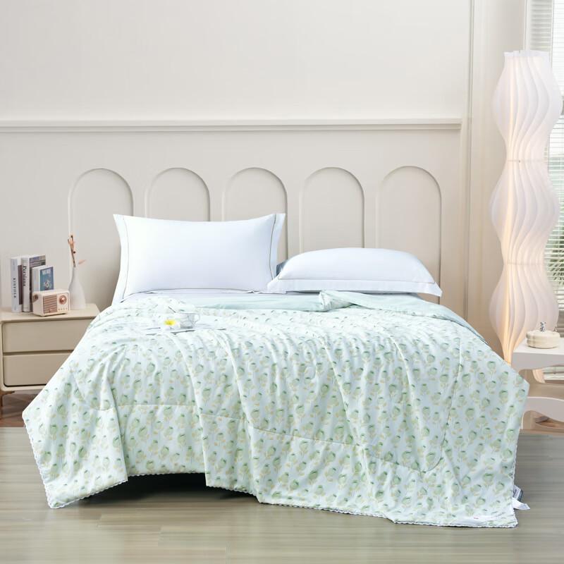 

Jieliya Fragrant Flower Whisper Cloud Silk Soft Summer Quilt