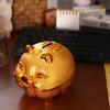 Gold Pig Pig Plastic Piggy Bank Plastic Coin Saving Box Practical Pig Money Jar  Student Gift