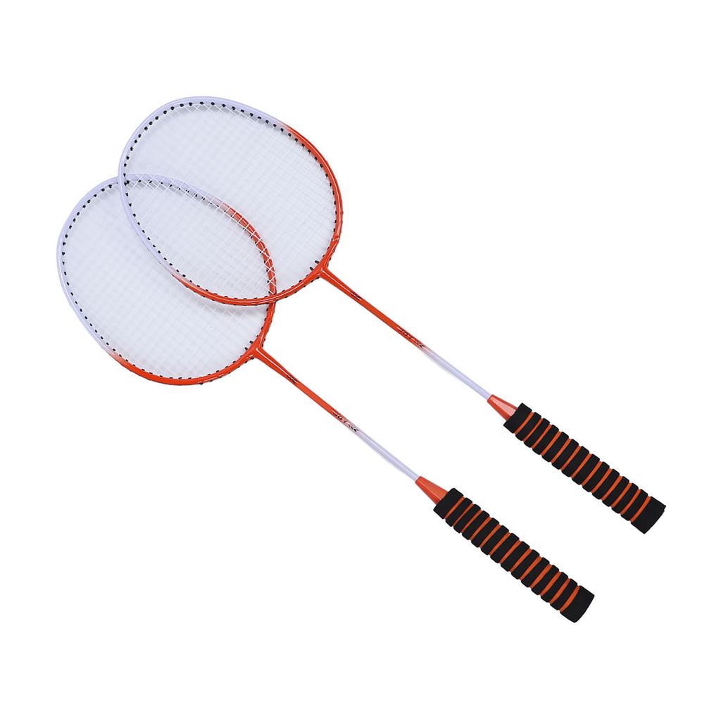 Badminton Set Professional Alloy Badminton Racket with 3 Shuttlecocks Carrying Bag for Beginner