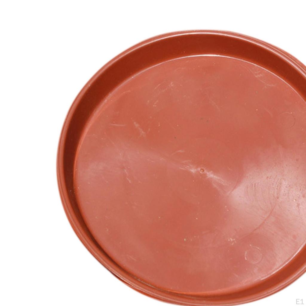 Hedgehog Bowl Food Dish Pet Supplies and Water Feeder for Small Animal