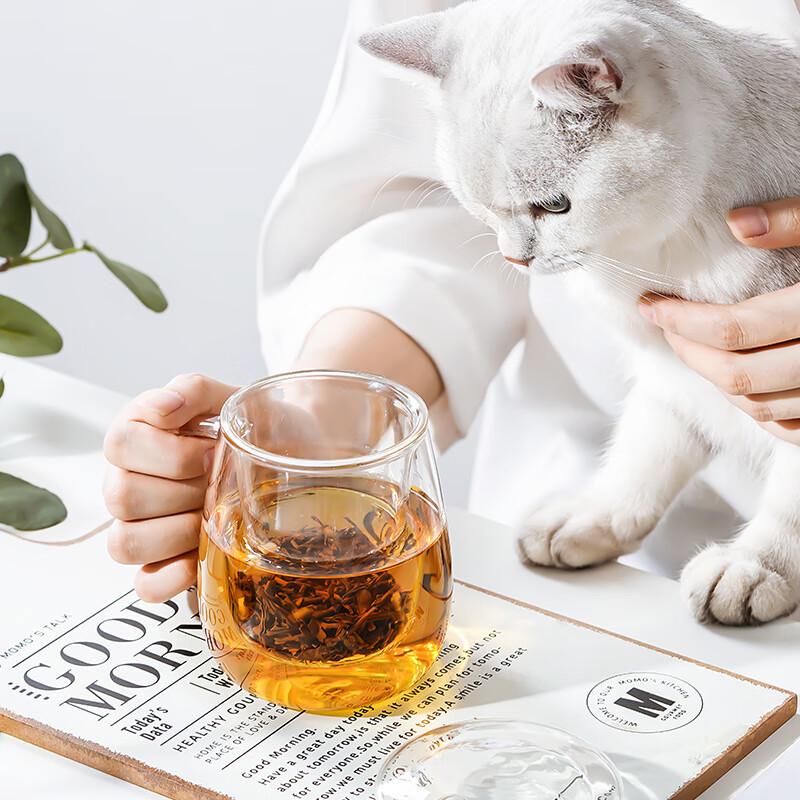 RELEA High Borosilicate Glass Tea Separation Mug