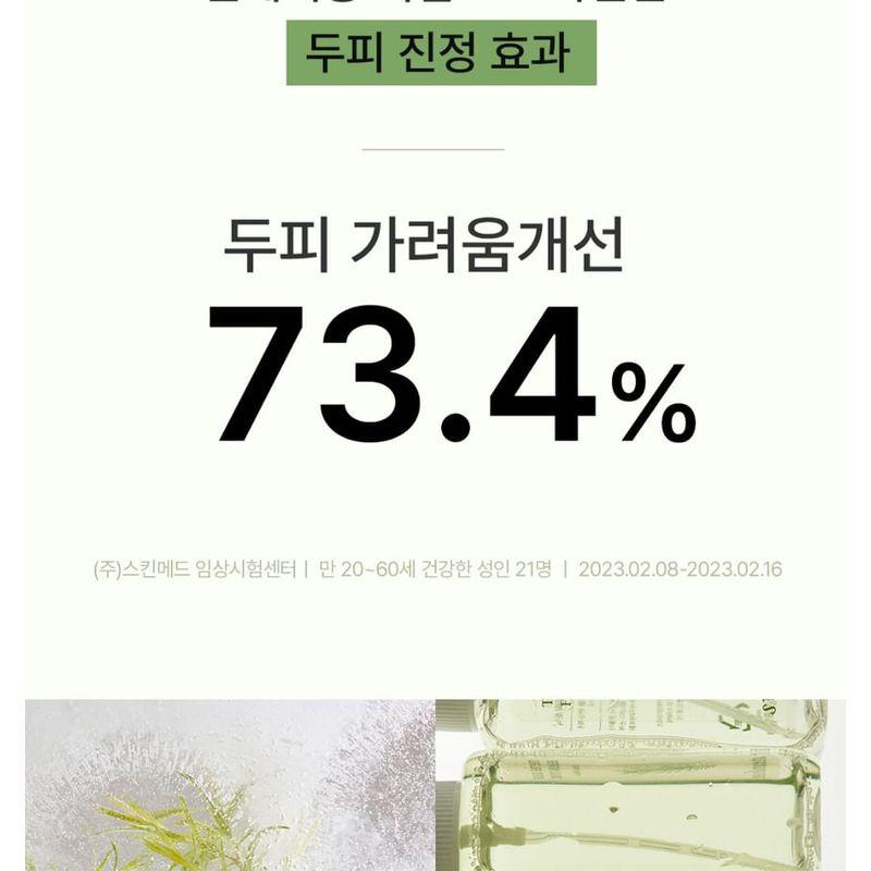 STEAMBASE - Tea Tree Scalp Healing Tonic