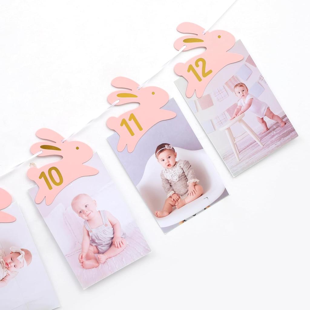 Bunny 1st Birthday Monthly Milestone Photo Banner - Some Bunny Is One Newbron To 12 Months Photo Banner for Grils, Easter 1st Birthday Decorations,