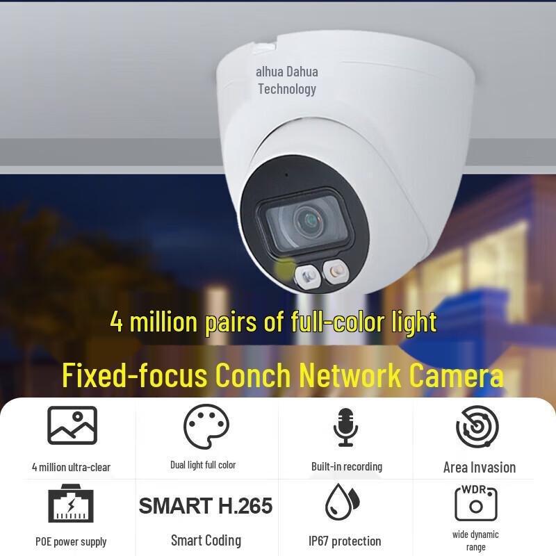 Dahua 4MP Network PoE Dome Camera with Audio Monitoring CN Plug (adapter Included)