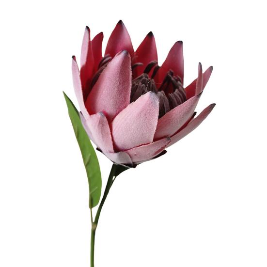 Artificial King Protea Flowers Lifelike Tropical Floral Arrangements Faux Protea Cynaroide with Stem for Wedding Centerpiece Home Office Table Decor