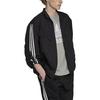 adidas Originals Trefoil Parley TT Şerit Baskılı Logolu Fermuarlı Ceket Erkek Dış Giyim Siyah HN7030