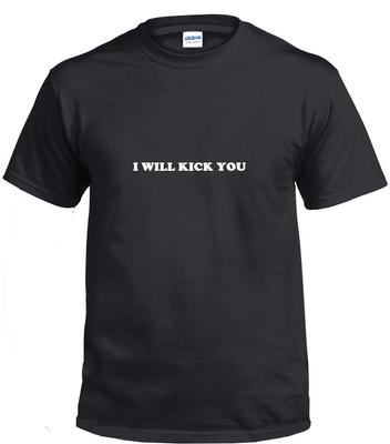 I WILL KICK YOU Tee Shirt Funny Gift Sarcastic Violent Black White T-Shirt