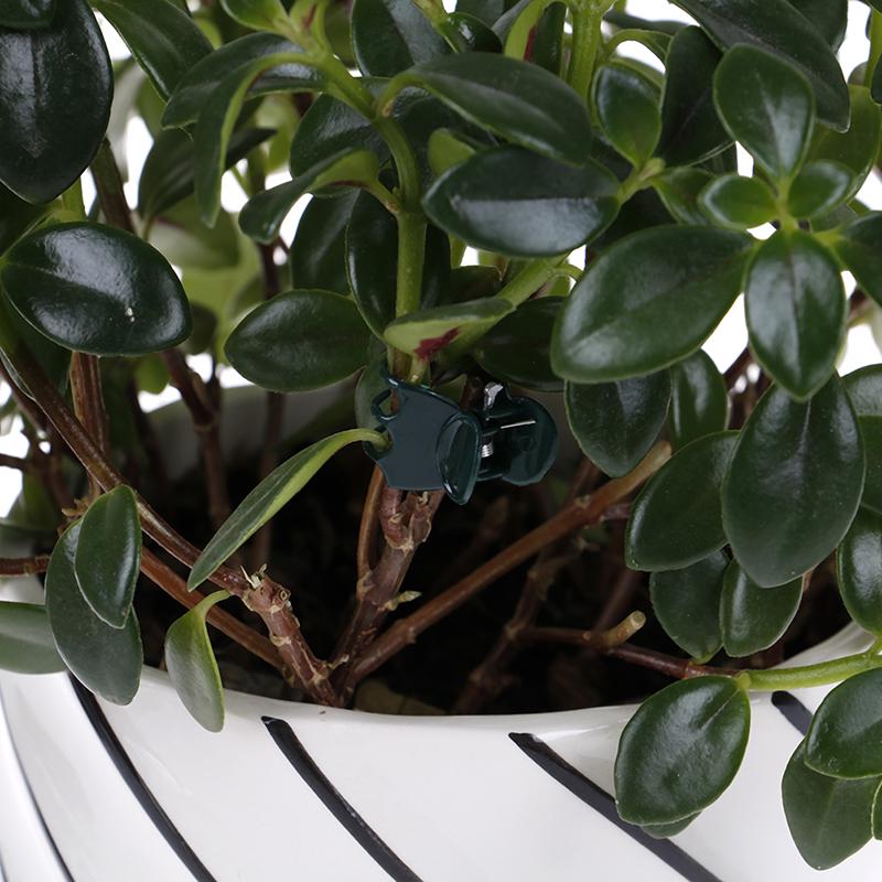 100Pcs/Bag Garden Plant Support Clips Flower Orchid Stem Clips For Vine Support