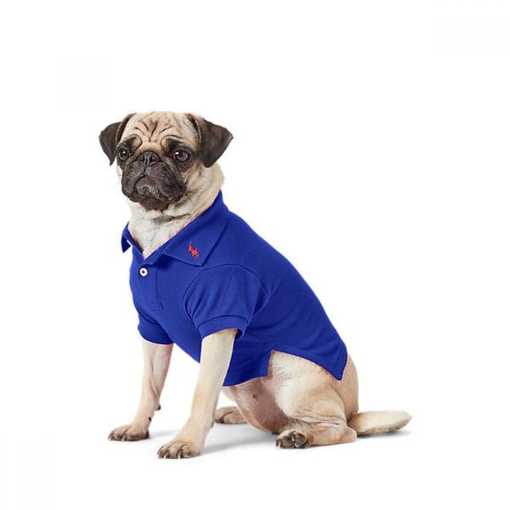 Polo Ralph Lauren Cotton Mesh Dog Polo Shirt Hmpogfthr920058400 XLARG