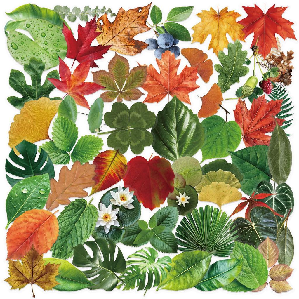 50 Transparent Ins Style Leaf Sticker Pack, Waterproof Transparent PET Manual Material Decorative Guitar Notebook