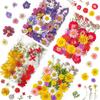 31-35PCS Dried Flower Set Mixed Multiple Pressed Flower Leaves DIY Candle Resin Nails Jewelry Pendant Crafts Art Floral Decors