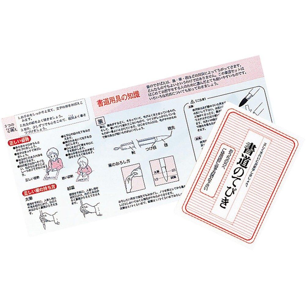 Kuretake Calligraphy Set Hard Type Red GC-3100S GC310-11