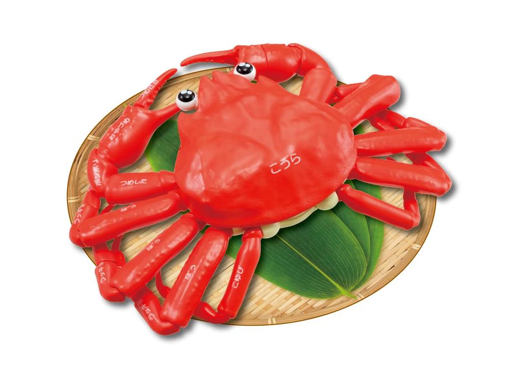 Buy a Whole Lot!! Snow Crab Dissection Puzzle - Boiled -