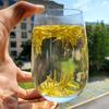 2026 New Tea Mingqian Selected Golden Bud White Tea Wholesale 500g Alpine Green Tea Hui Ganlan Fragrance Bulk
