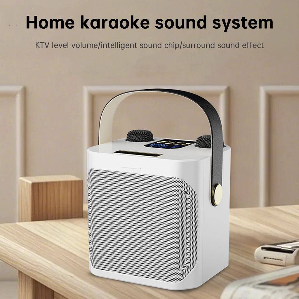 Wireless Bluetooth Speaker Dual Microphone Portable Karaoke Speaker Home Theater