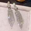 Elegant Tassel Long Earrings: European & American Fashion, High-End Prom & Evening Goddess Style.