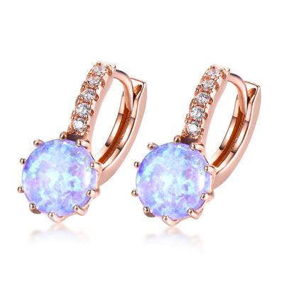 Ladies Exquisite Earrings Simple and Elegant European and American Style