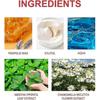 2025 Sp 10 Toothpaste, Sp-10 Toothpaste, Ultra Whitening Toothpaste Sp-10, Sp-10 Probiotic Brightening Whitening Toothpaste, Fresh Breath