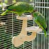 Bite Resistant Wooden Bird Perch Stand Parrots Ladder Bird Training Stand  Parrot Cage