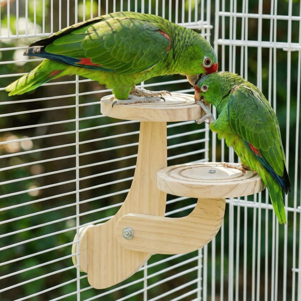 Bite Resistant Wooden Bird Perch Stand Parrots Ladder Bird Training Stand  Parrot Cage