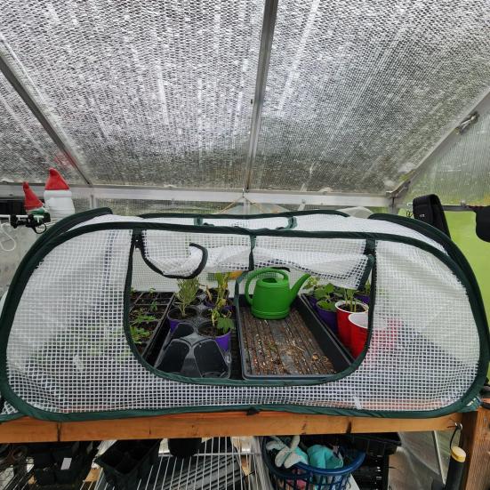 Yousheng Collapsible Plant Greenhouse Plants Pop-Up Mesh Cover with Side Window Planter Box Protector Cage for Raised Beds Fruits Vegetable Rows