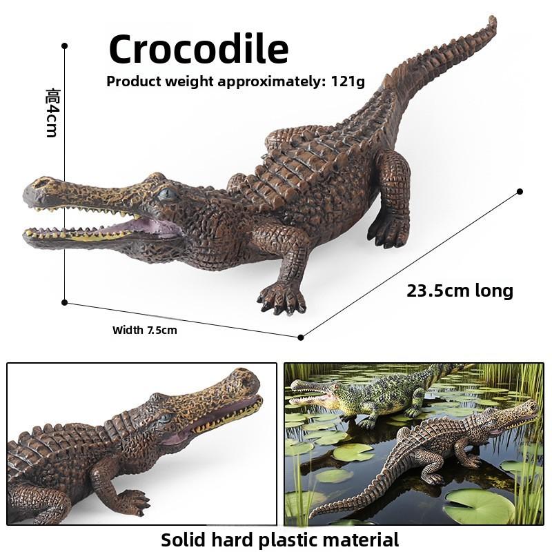 Snake Amphibian Animal Crocodile Toy Model For Kids Educational And Display Use