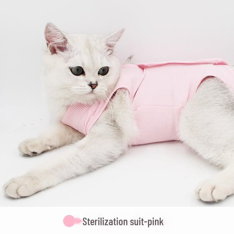 Autumn Cat Post-Surgery Anti-Lick Suit: Anti-Infection, Anti-Bacterial, High Elasticity, Comfortable Pet Wear