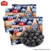 Wolong Daily Dried Blueberries