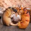 Soft Lifelike Animal Throw Pillow 3D Cushion Cute Dog Pillow  Home