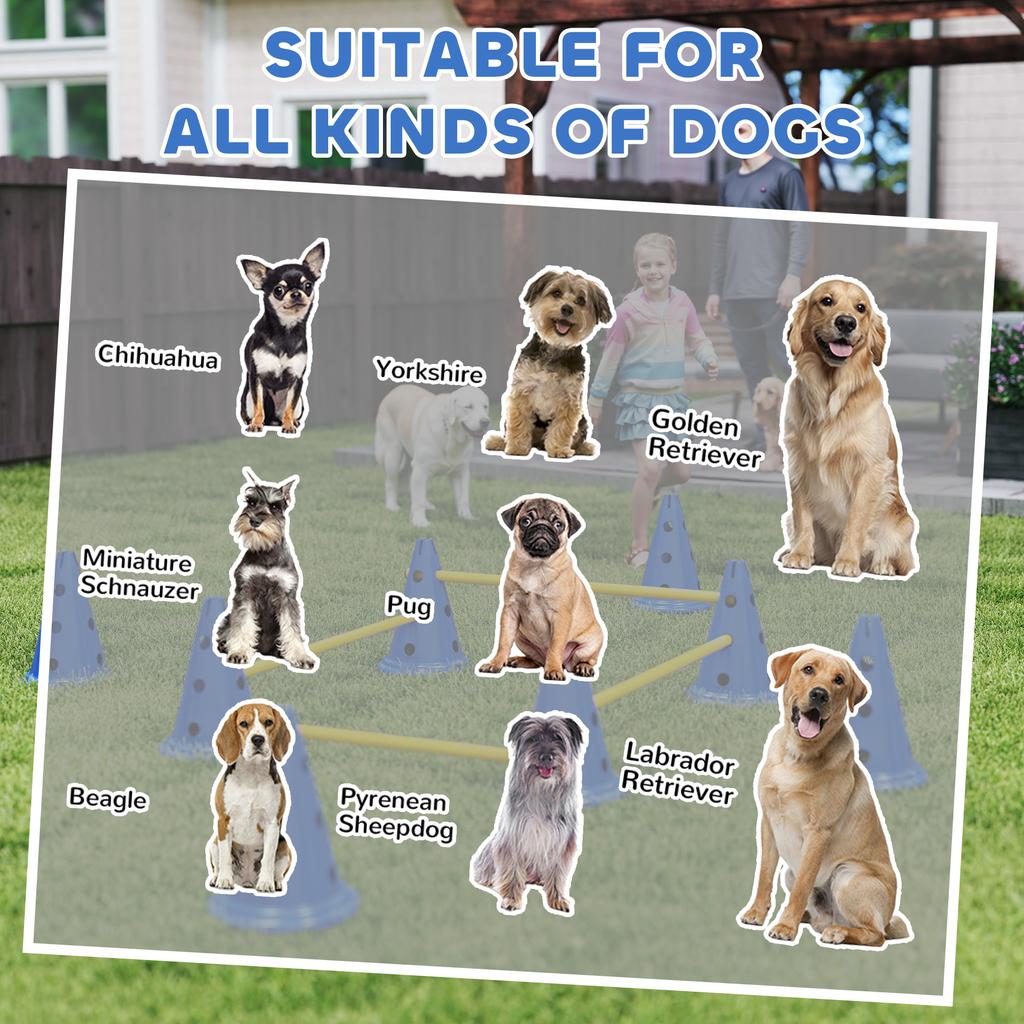 Dog Agility Equipment Set Of Eight Cones Eight Poles W Carry Bag Four Piece Adjustable Height Jumping Obstacles Blue