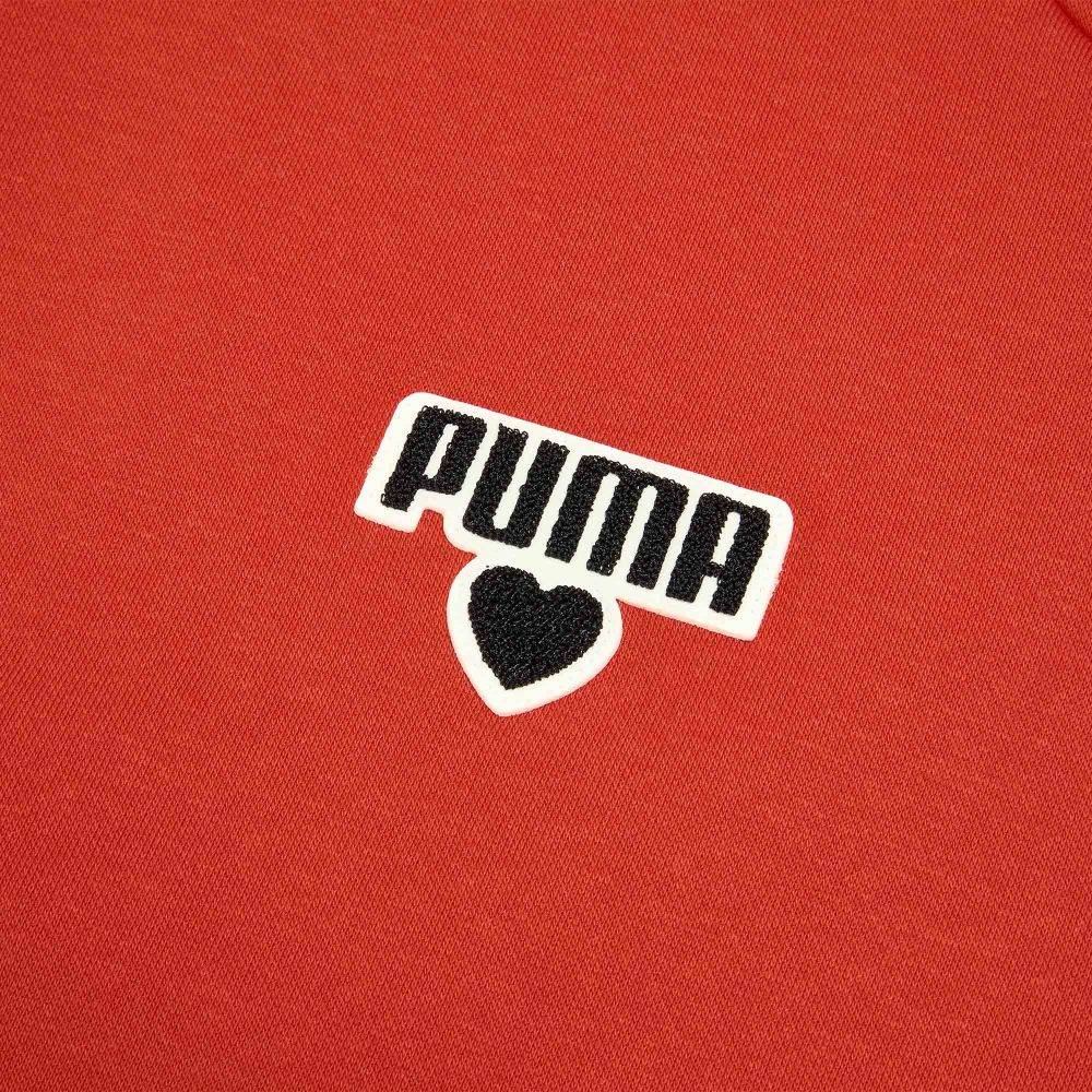 Puma FW25 Warm And Comfortable Hooded Long Sleeve Sweatshirt Unisex tops 695005-11