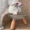 Protect Neck Elevated Cat Bowl Transparent Ins Cat Feeding Dishes  Dry/Wet Food