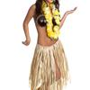 Natural Coconut Bra Novelty Coconut Bra Top Dance Costume, Comfortable to Wear For Women Hawaiian Party, Beach Parties