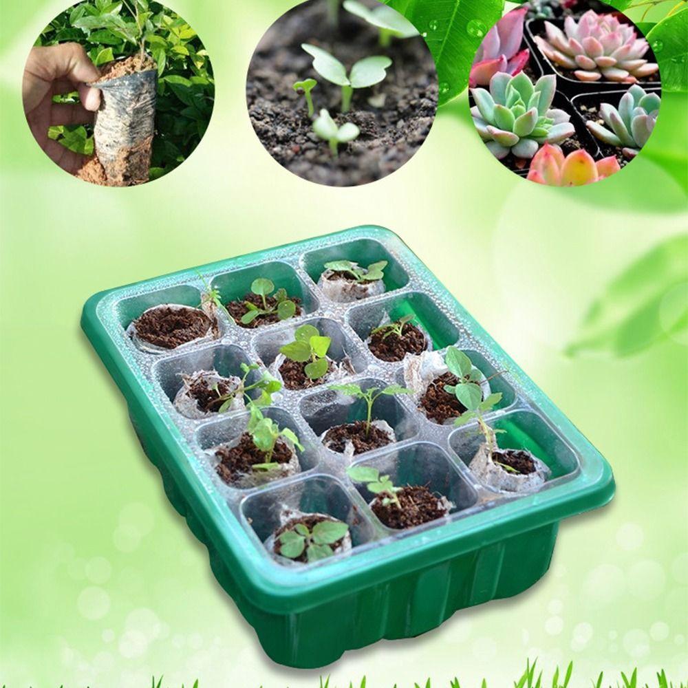 

2 шт. Увлажняющий поддон для посева, 6/12 отверстий, поддон для рассады растений